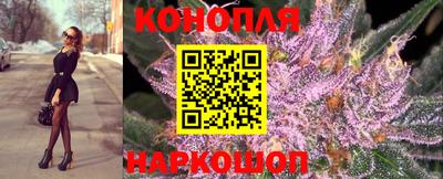 spice Будённовск
