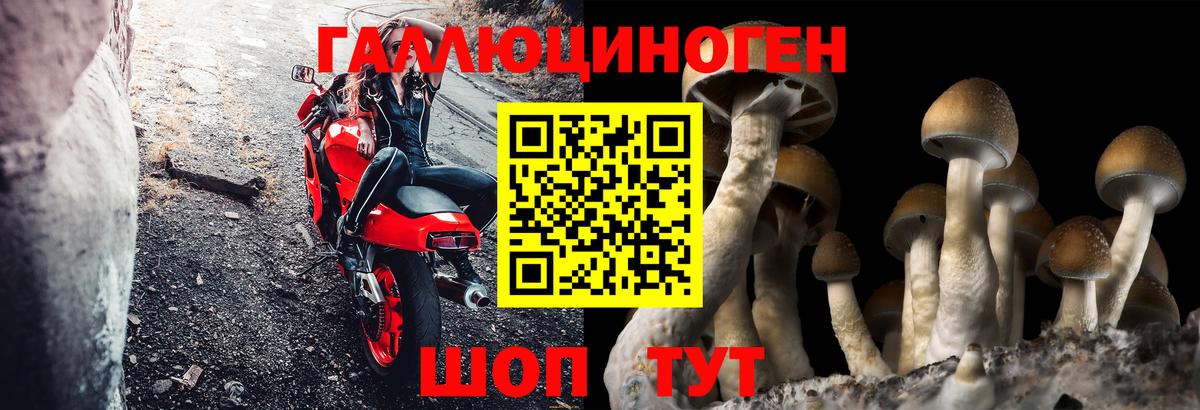 Краснокамск  Галлюциногенные грибы мицелий  Вход с VPN  как найти наркотики  Псилоцибиновые грибы Psilocybine cubensis 